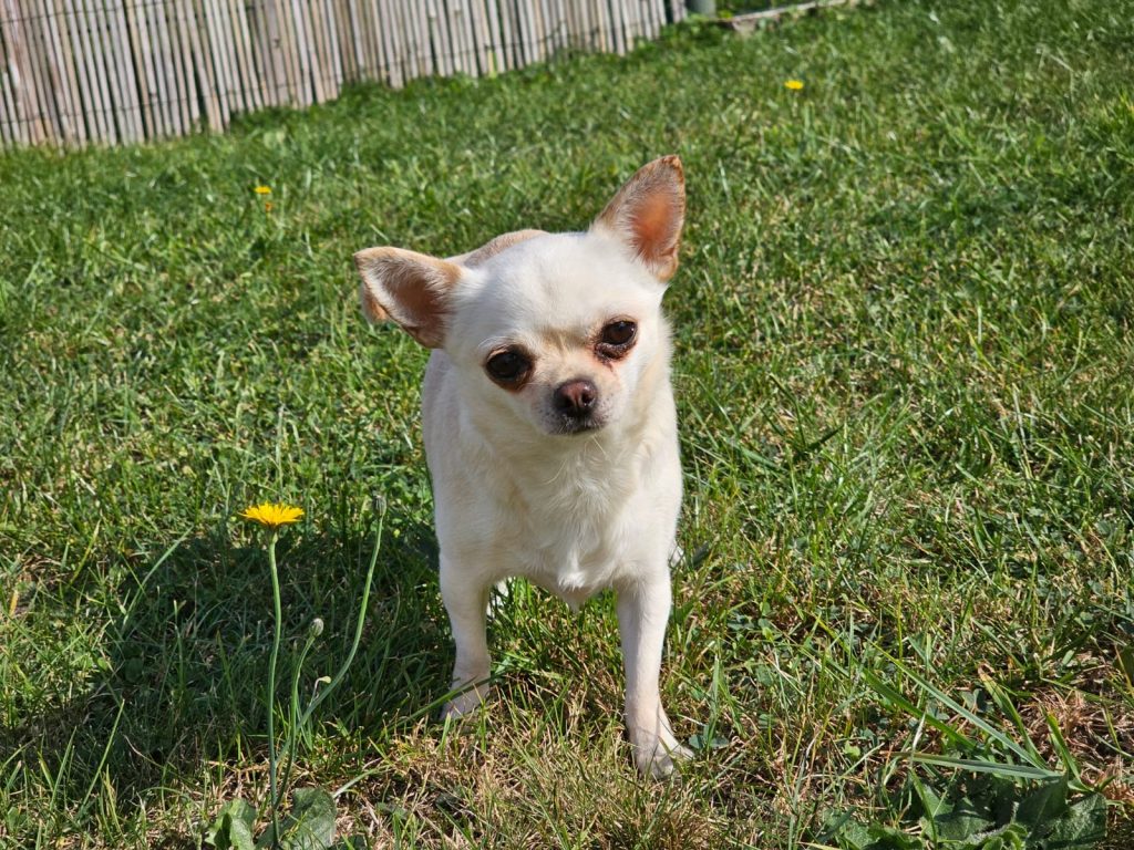 205a27c8-736a-4b7c-9df3-8ac4bd853dd6