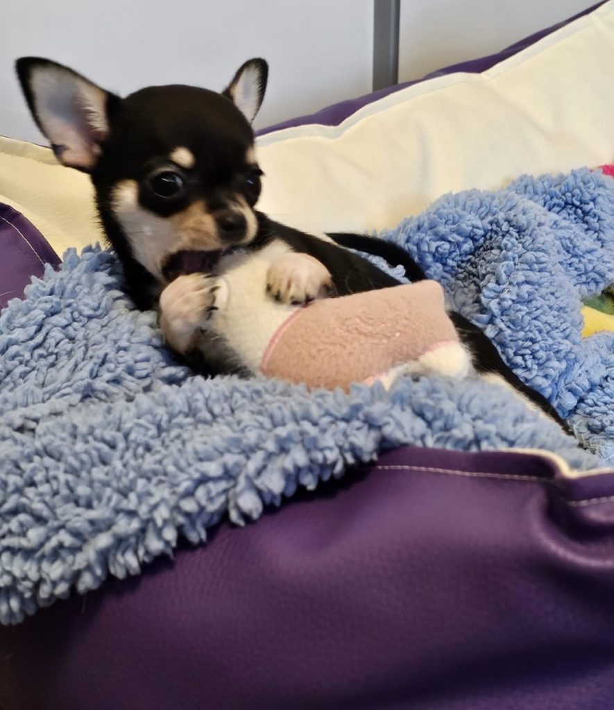 309fe55e-6d9f-4f6a-b0a4-628575d85775