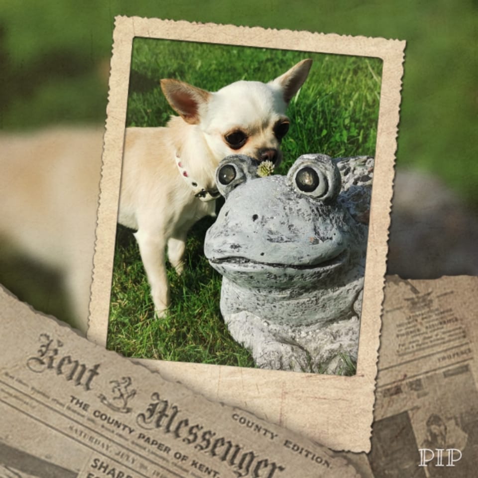 8ad03f32-1d0c-471e-b95b-03d4789b8821