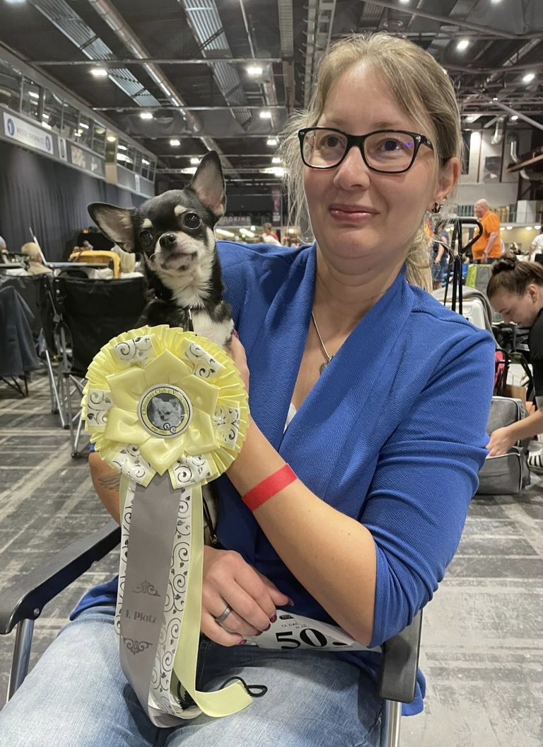 8d22defe-da63-442a-8d86-b11d3087d1f2