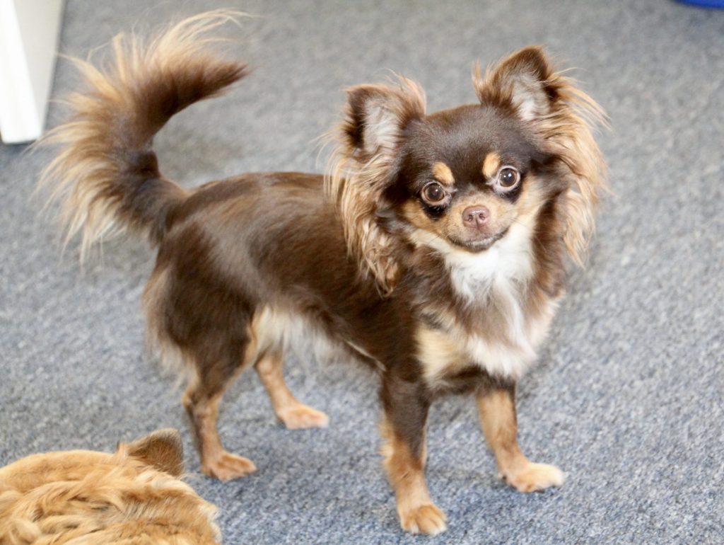 BQb0U-rudasvywaz665lxlze6irc26