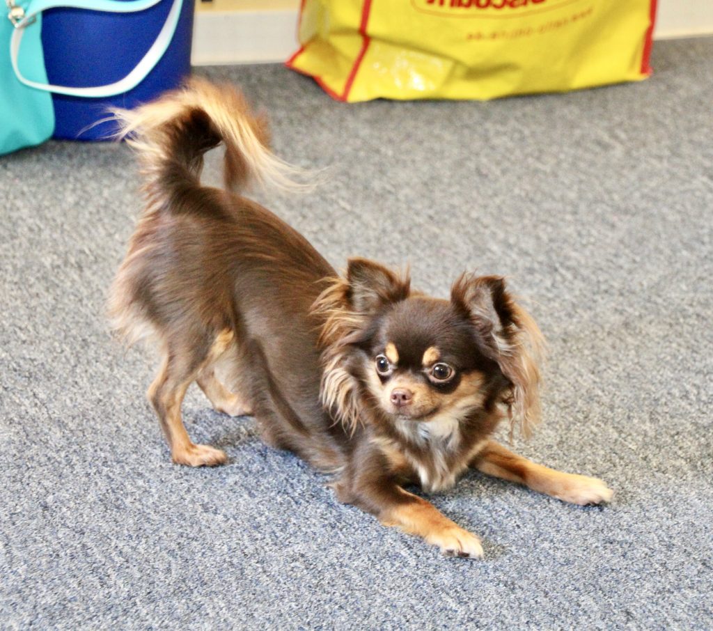 YdLDh-xhxj3ooake7ouefvjnrh4dq5