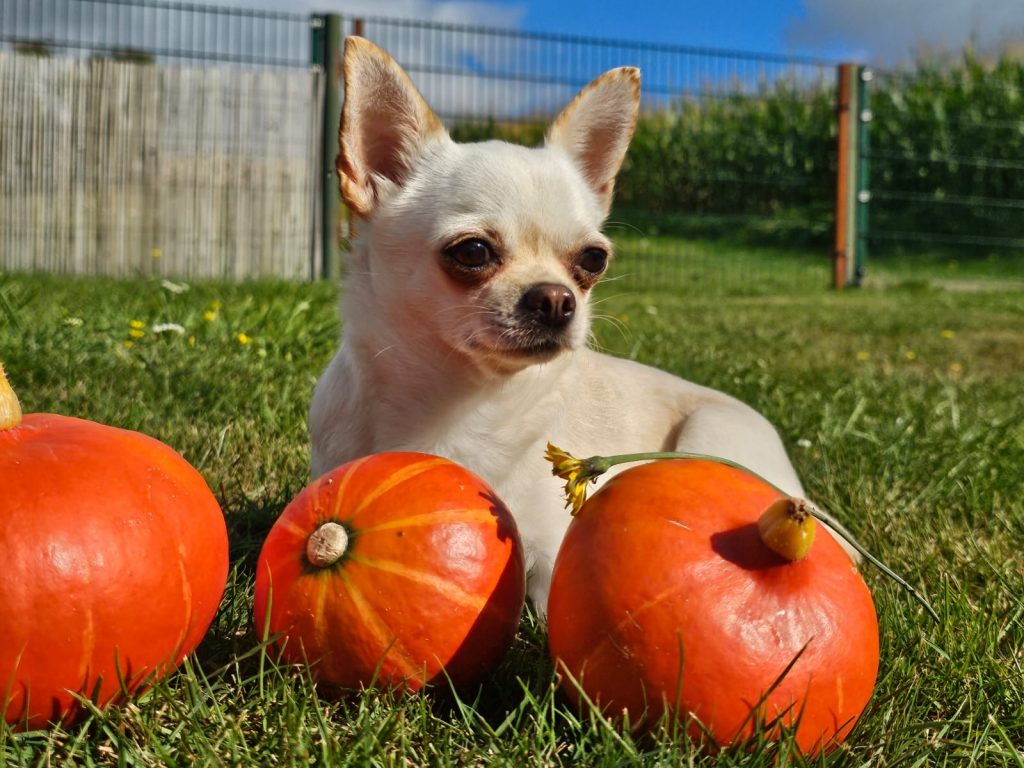 f112e193-22ea-4db5-a13f-c1a0503d5f28