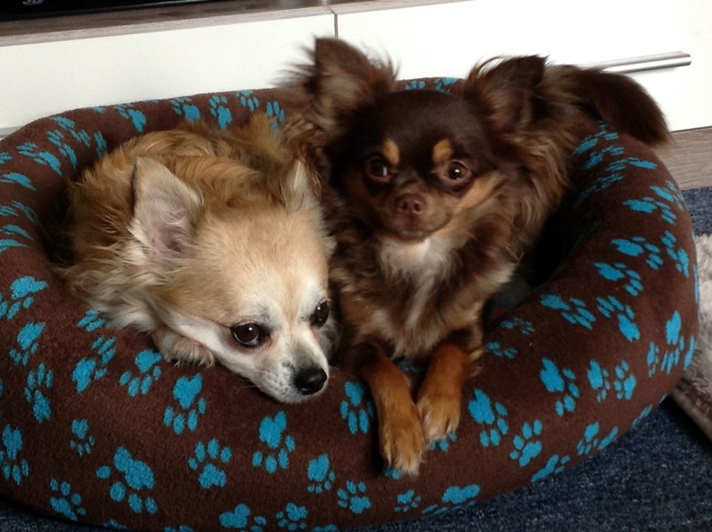 1bY1l-vqlviu25mmviyqdp6sxyrcpo