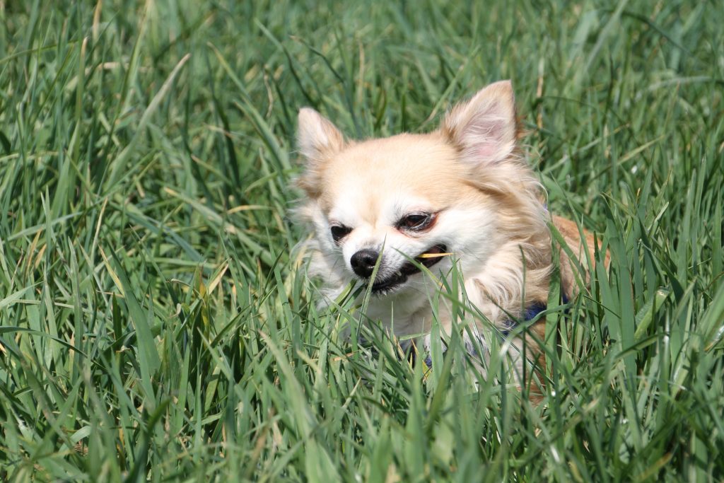 6rVZN-6hc34ytef6csxbm5itmsyy55