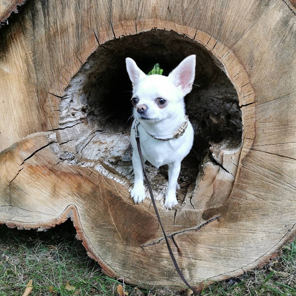 KzcBg-sxc5t2ravms7ezk7pnsanvjx