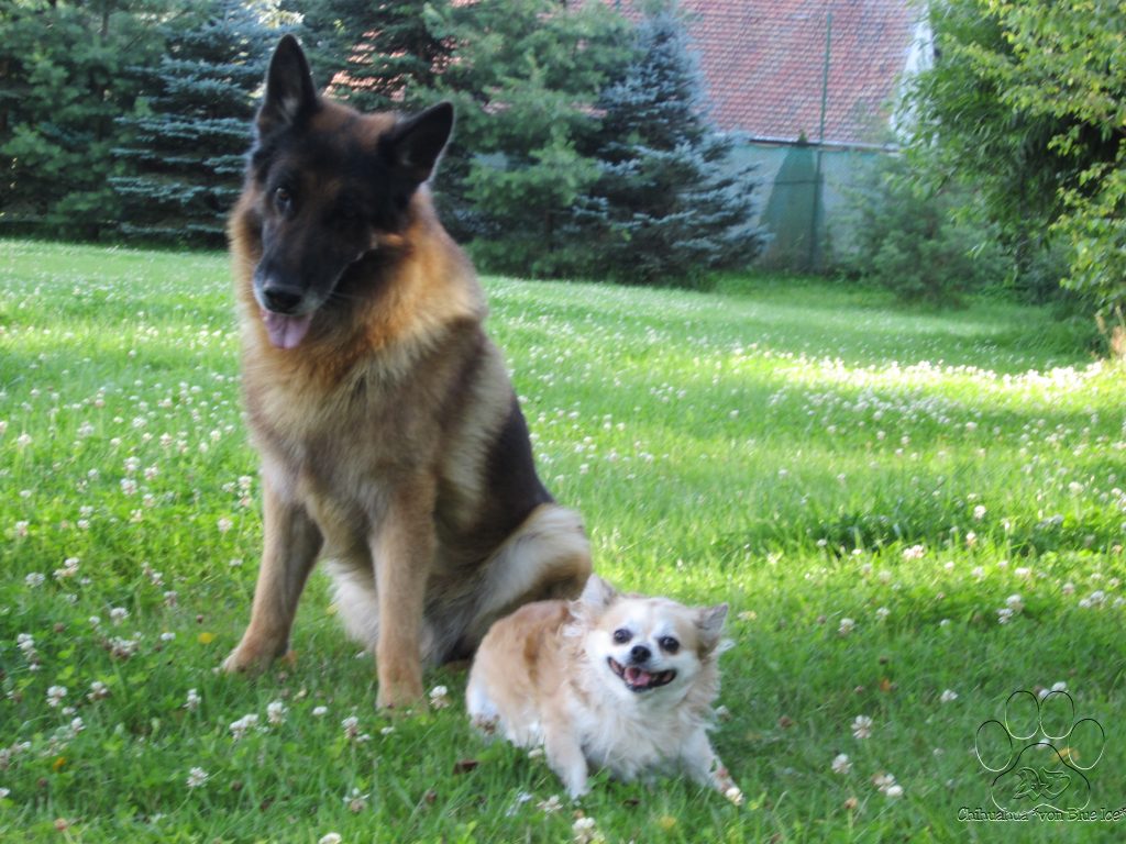 pxJ7B-r673exhnqimwaio35ki5podg