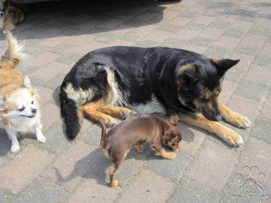 shhzR-p5k42qx3pcxhlvgw24lwwgmp