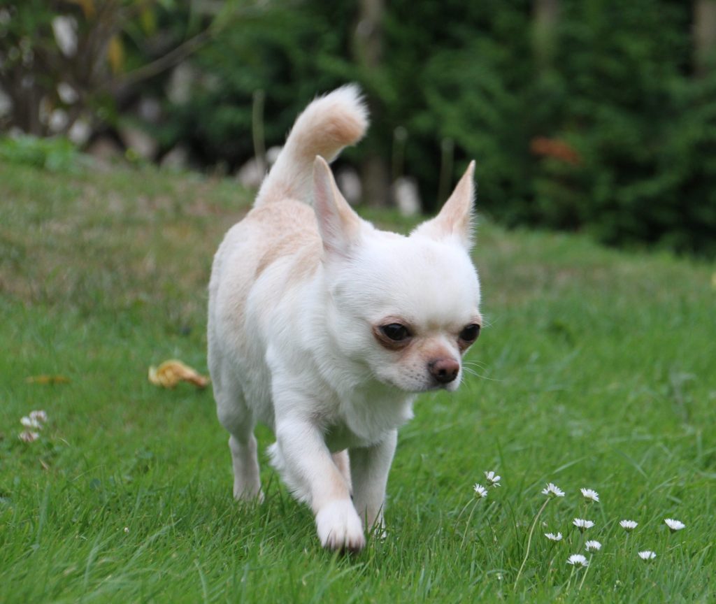 uEU5r-dojj6ywvac4vo2ex23zmafqc