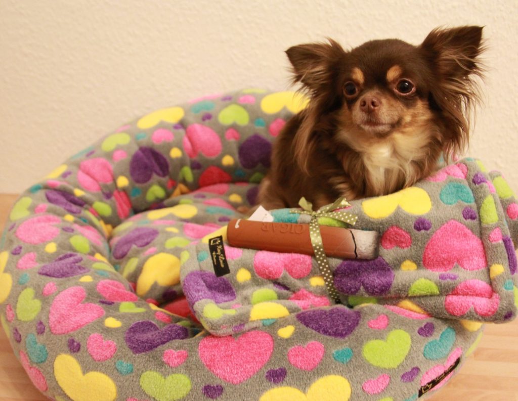 y8yqc-6iimtbbk7ql5tzpq7yzah2wp