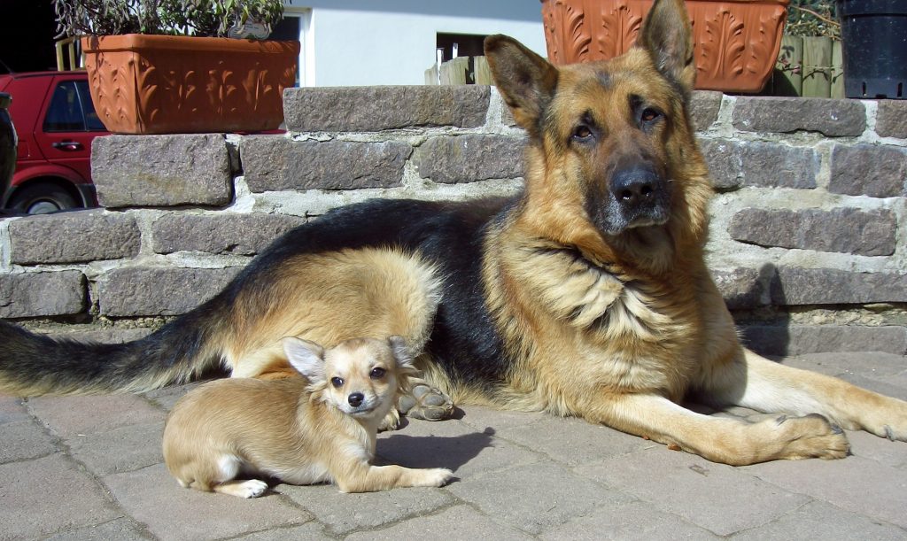 ydEZt-uqjfx5klwud7hwlhz6l23l6i