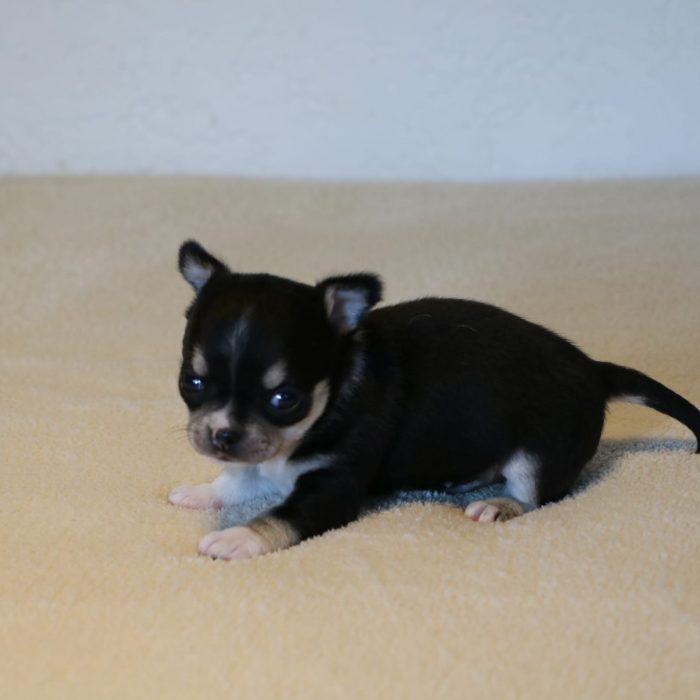 7885292e-a013-4810-b3bf-58571ac279a6